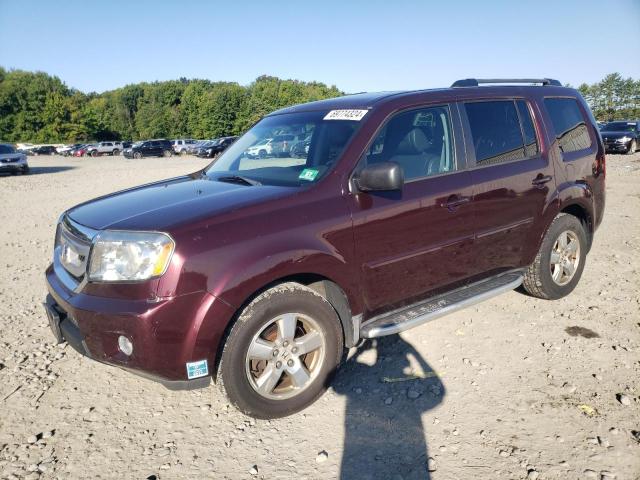 HONDA PILOT EXL 2009 with VIN 5FNYF48569B014802 - Photo from auction