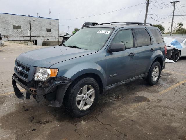 FORD ESCAPE HYB 2010 with VIN 1FMCU4K31AKA87618 - Photo from auction