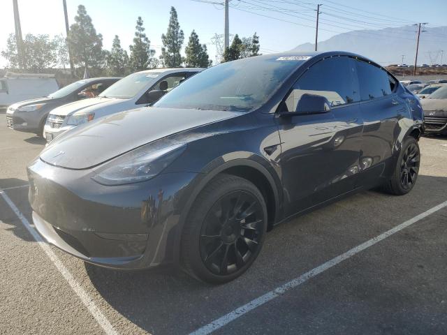 TESLA MODEL Y 2024 مع رقم تعريف المركبة 7SAYGDEDXRF103509 - صورة من المزاد
