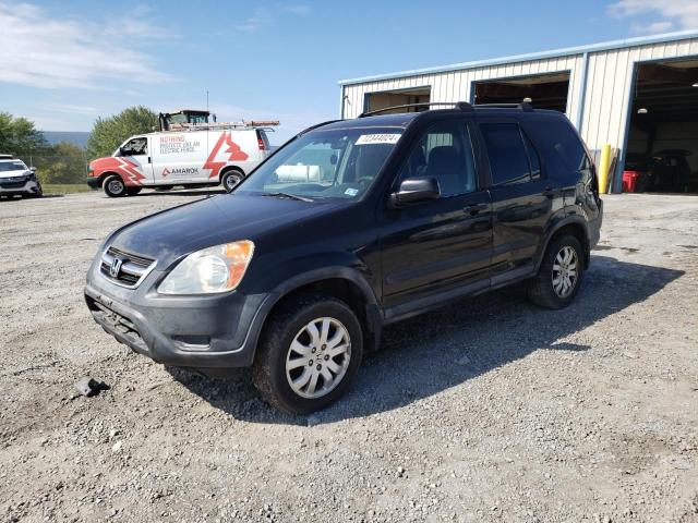 HONDA CR-V EX 2002 with VIN SHSRD788X2U006819 - Photo from auction