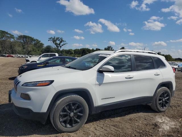 JEEP CHEROKEE L 2017 with VIN 1C4PJMCS9HW663804 - Photo from auction
