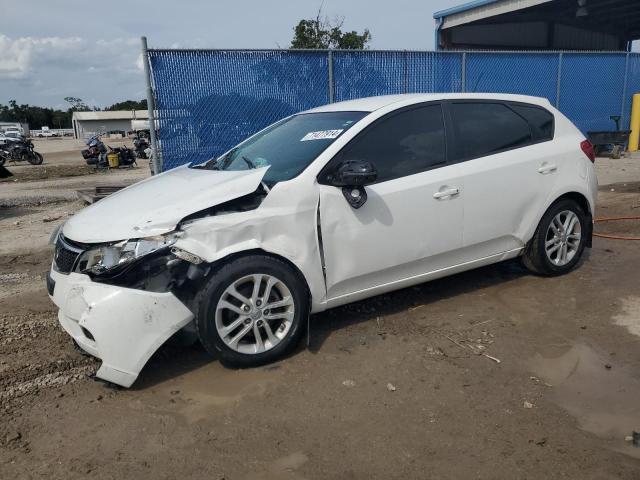 KIA FORTE EX 2011 with VIN KNAFU5A2XB5378020 - Photo from auction