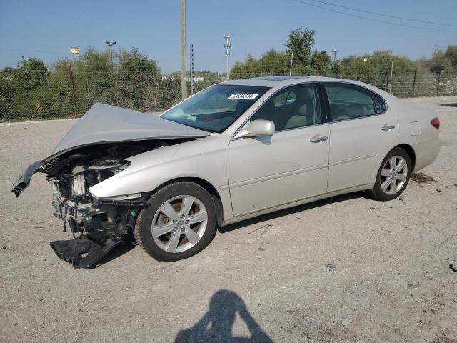 LEXUS ES 330 2005 with VIN JTHBA30G555141174 - Photo from auction