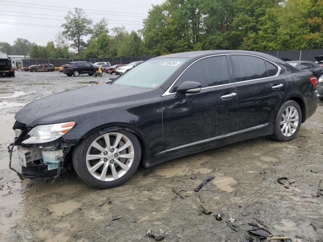 LEXUS LS 460 2010 with VIN JTHCL5EF8A5006484 - Photo from auction