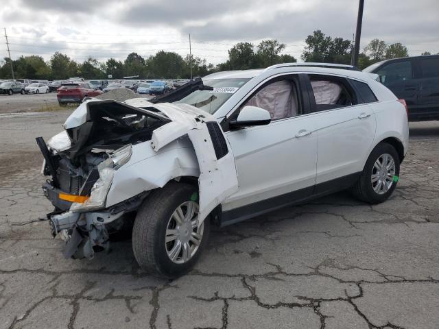 CADILLAC SRX LUXURY 2011 with VIN 3GYFNDEY4BS557808 - Photo from auction