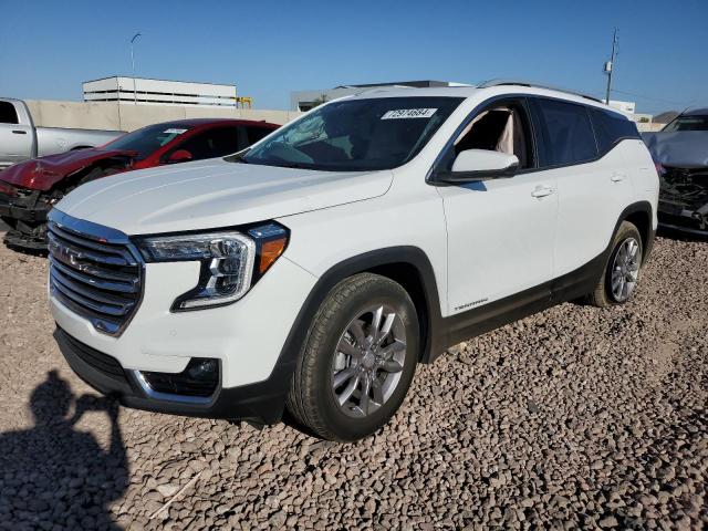 GMC TERRAIN SL 2023 with VIN 3GKALPEG3PL235682 - Photo from auction