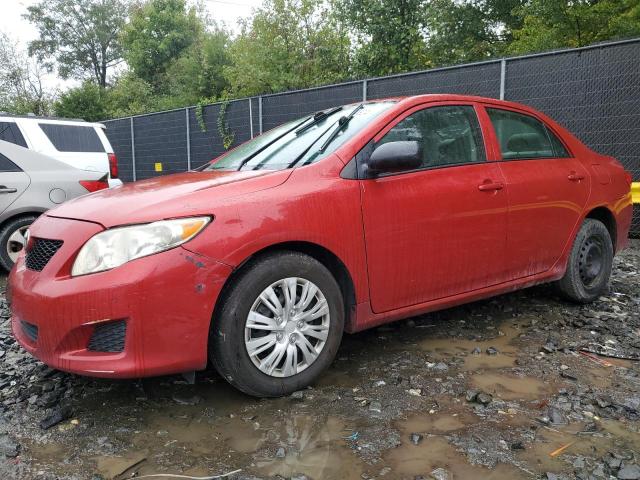 TOYOTA COROLLA BA 2010 with VIN 2T1BU4EEXAC247719 - Photo from auction