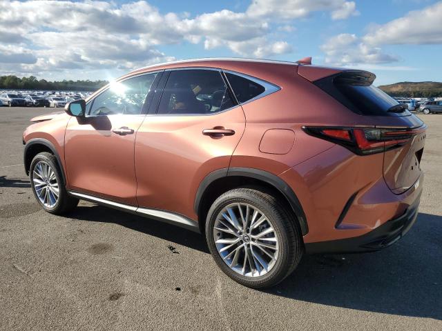 Photo 2 from auction – 2025 LEXUS NX 350 PRE with VIN 2T2GGCEZ7SC066651