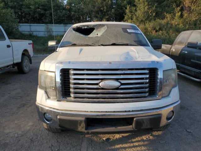 Photo 5 from auction – 2010 FORD F150 SUPERCREW with VIN 1FTEW1C87AKA56325