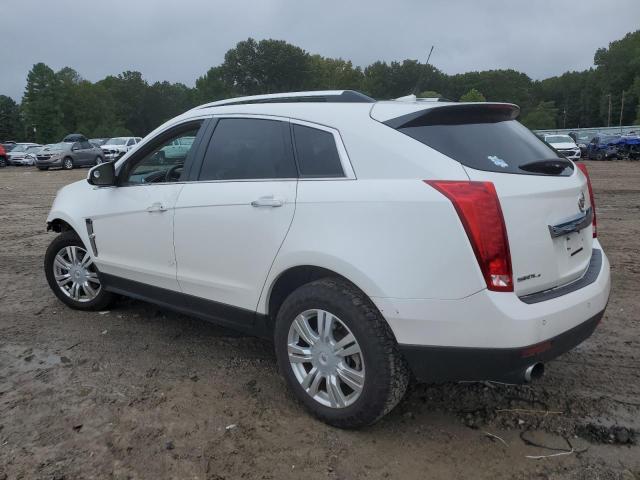 Photo 2 from auction – 2011 CADILLAC SRX LUXURY with VIN 3GYFNDEY6BS589935