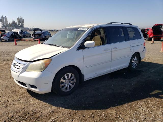 HONDA ODYSSEY EX 2008 with VIN 5FNRL38438B056194 - Photo from auction