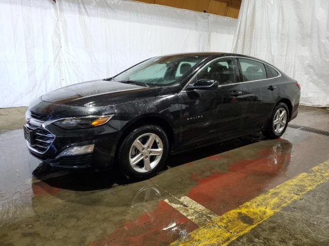 CHEVROLET MALIBU LT 2024 with VIN 1G1ZD5ST3RF169948 - Photo from auction