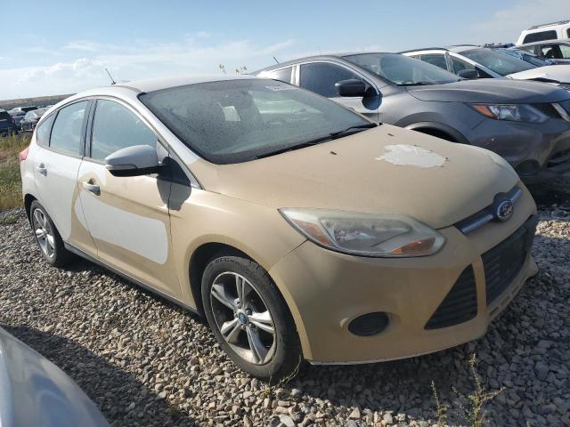 Photo 4 from auction – 2013 FORD FOCUS SE with VIN 1FADP3K28DL341041