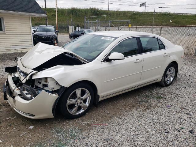 CHEVROLET MALIBU 2LT 2011 with VIN 1G1ZD5E1XBF338542 - Photo from auction