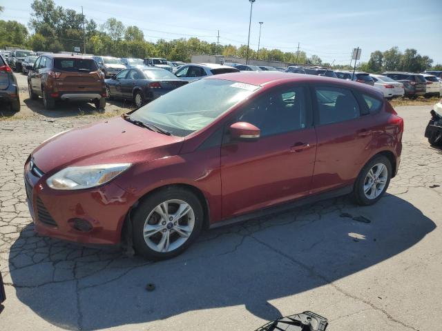 FORD FOCUS SE 2014 with VIN 1FADP3K21EL429804 - Photo from auction