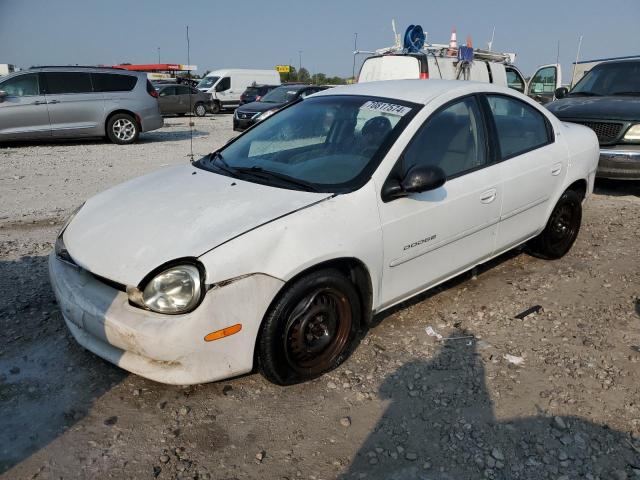 DODGE NEON BASE 2000 with VIN 1B3ES46C8YD504455 - Photo from auction