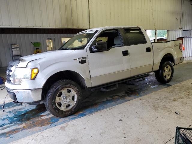 FORD F150 SUPER 2010 with VIN 1FTEW1E88AFD84357 - Photo from auction