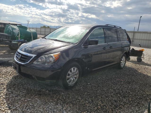 HONDA ODYSSEY EX 2010 with VIN 5FNRL3H61AB078508 - Photo from auction