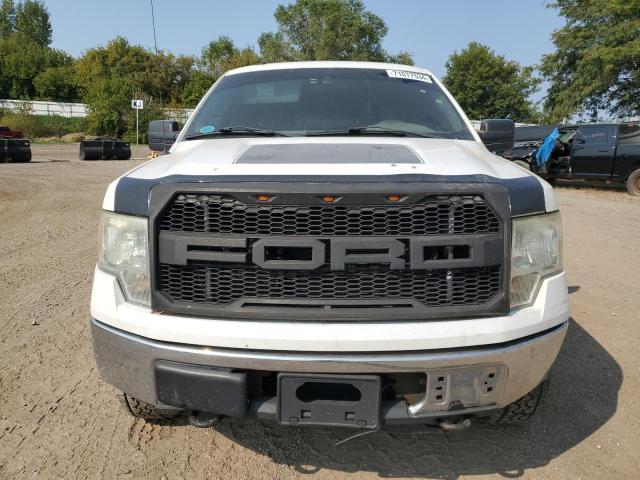 Photo 5 from auction – 2010 FORD F150 SUPER with VIN 1FTFW1EV9AFC98890
