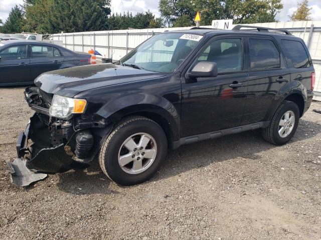 FORD ESCAPE XLT 2011 with VIN 1FMCU0D73BKB01075 - Photo from auction