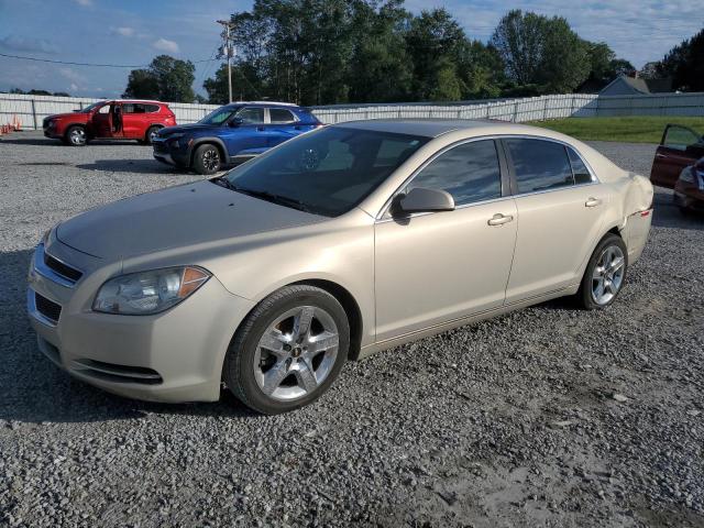 CHEVROLET MALIBU 1LT 2010 with VIN 1G1ZC5EB9AF164487 - Photo from auction