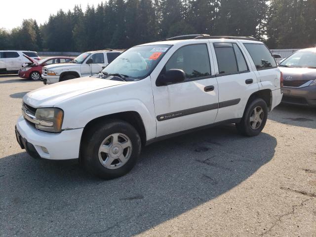 CHEVROLET TRAILBLAZE 2003 with VIN 1GNDT13S932406483 - Photo from auction