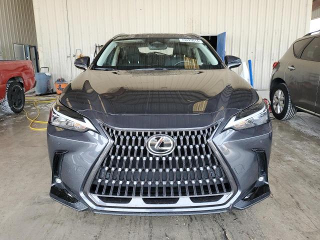 Photo 5 from auction – 2023 LEXUS NX 250 with VIN JTJGDCAZ7P5012321