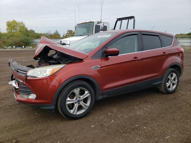 FORD ESCAPE SE 2014 with VIN 1FMCU0GXXEUE36645 - Photo from auction