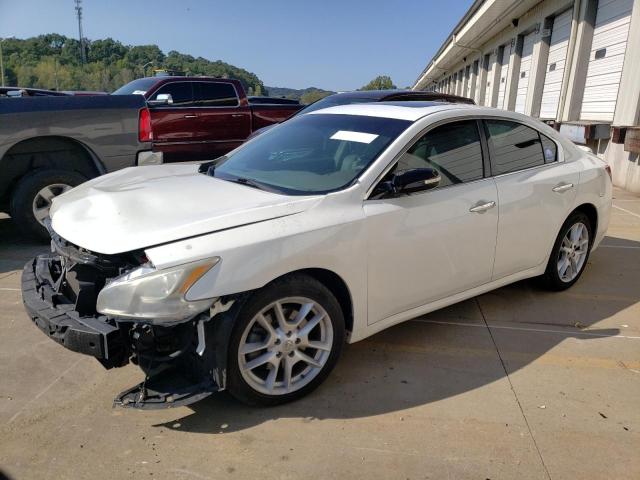 NISSAN MAXIMA S 2009 with VIN 1N4AA51E99C828011 - Photo from auction