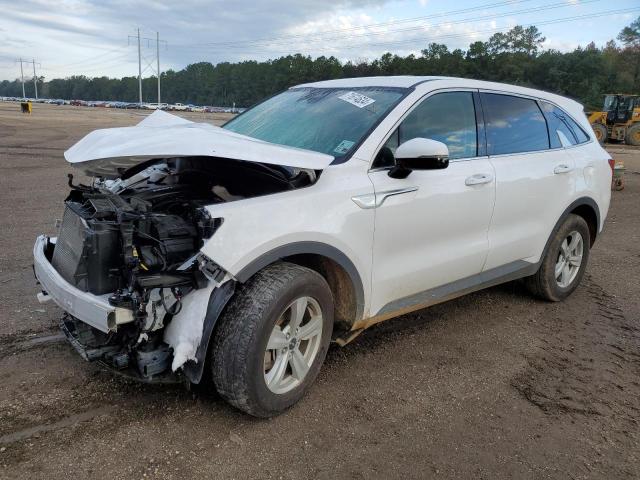 KIA SORENTO LX 2023 with VIN 5XYRG4LC7PG244667 - Photo from auction