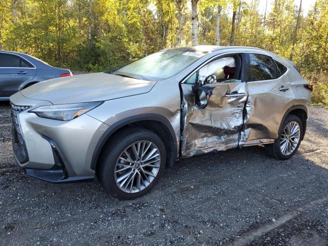 LEXUS NX 350H 2023 with VIN 2T2GKCEZXPC012007 - Photo from auction