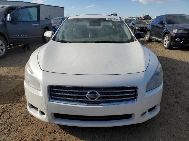 Photo 5 from auction – 2009 NISSAN MAXIMA S with VIN 1N4AA51E19C824857