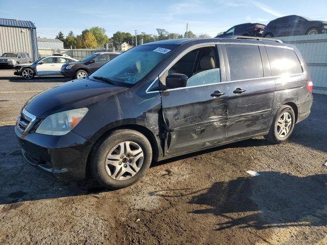 Photo 1 from auction – 2007 HONDA ODYSSEY EX with VIN 5FNRL38717B132956
