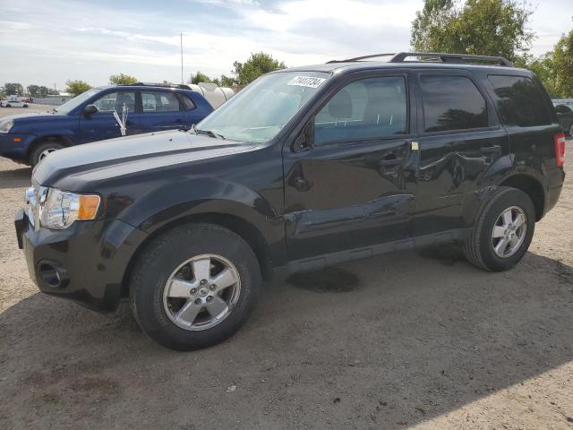 FORD ESCAPE XLT 2011 with VIN 1FMCU0D7XBKC33749 - Photo from auction