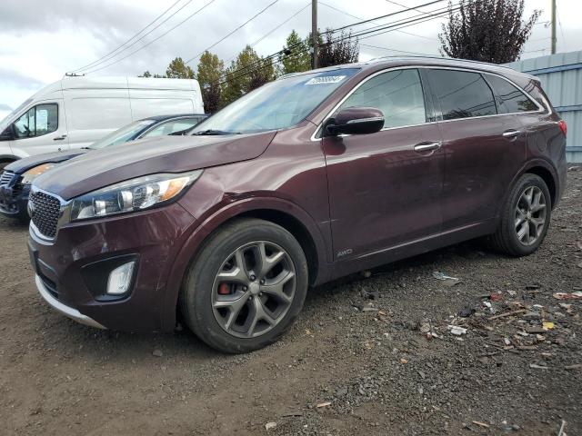 KIA SORENTO SX 2017 with VIN 5XYPKDA58HG196012 - Photo from auction