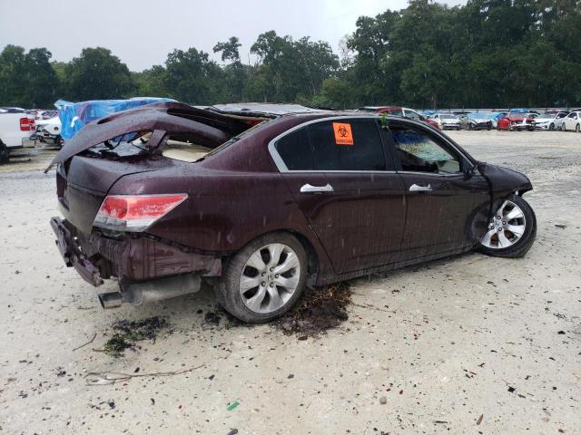 Photo 3 from auction – 2010 HONDA ACCORD EXL with VIN 5KBCP3F80AB012306