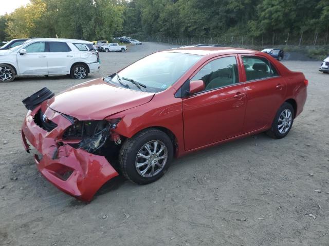 TOYOTA COROLLA BA 2010 with VIN 2T1BU4EE7AC326099 - Photo from auction