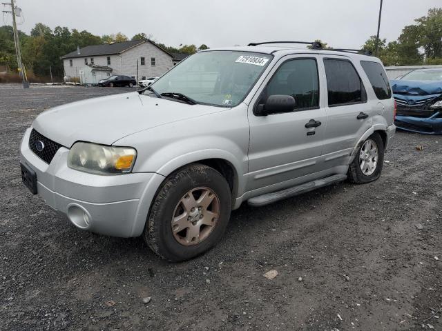 Photo 1 from auction – 2007 FORD ESCAPE XLT with VIN 1FMYU03117KC03534