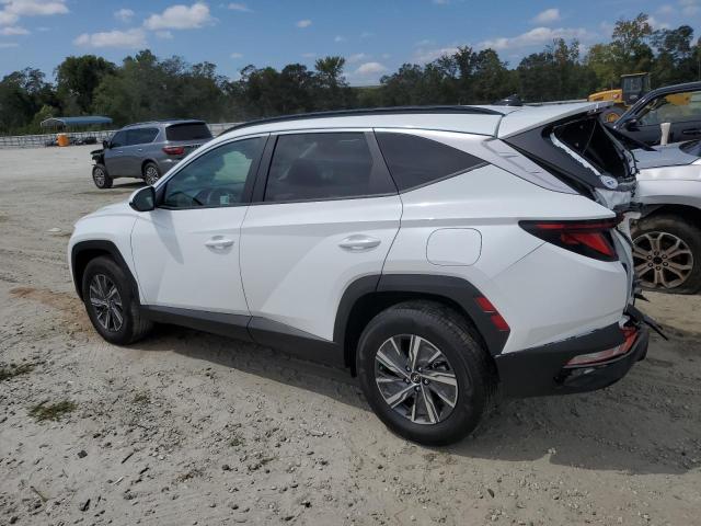 Photo 2 from auction – 2024 HYUNDAI TUCSON BLU with VIN KM8JBCD1XRU219181