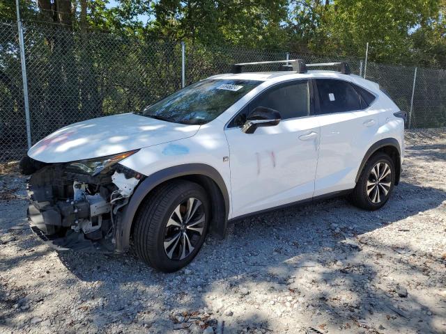 LEXUS NX 300 BAS 2018 with VIN JTJBARBZ6J2170386 - Photo from auction