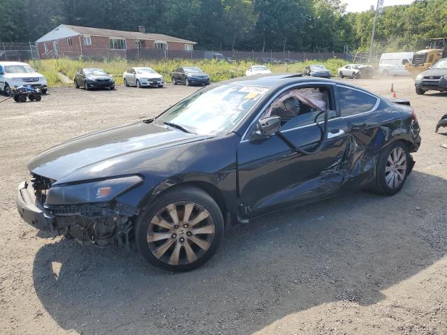 HONDA ACCORD EXL 2010 with VIN 1HGCS2B81AA003928 - Photo from auction