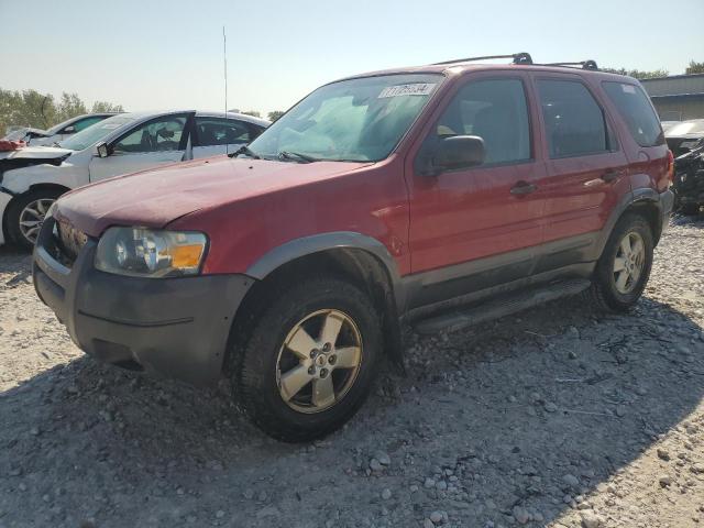 FORD ESCAPE XLT 2006 with VIN 1FMCU93116KC34019 - Photo from auction