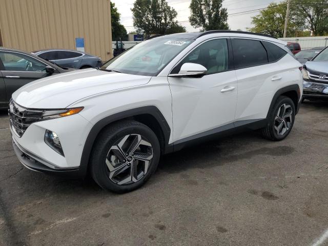 Photo 1 from auction – 2023 HYUNDAI TUCSON LIM with VIN 5NMJECAE2PH288809