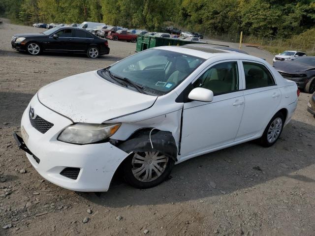 TOYOTA COROLLA BA 2010 with VIN 2T1BU4EE3AC385246 - Photo from auction