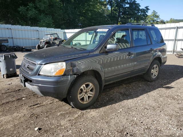 HONDA PILOT EX 2005 with VIN 5FNYF18455B065451 - Photo from auction