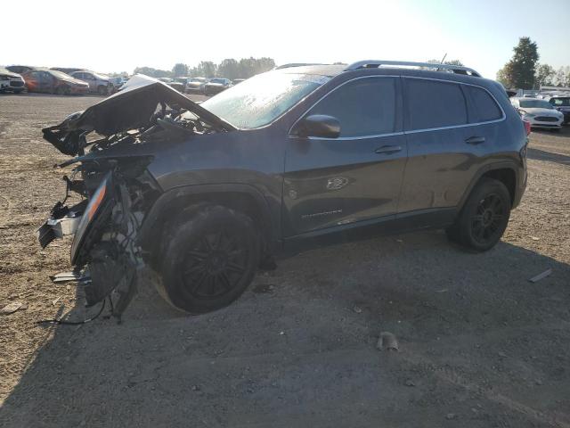 JEEP CHEROKEE L 2014 with VIN 1C4PJMCB7EW173843 - Photo from auction