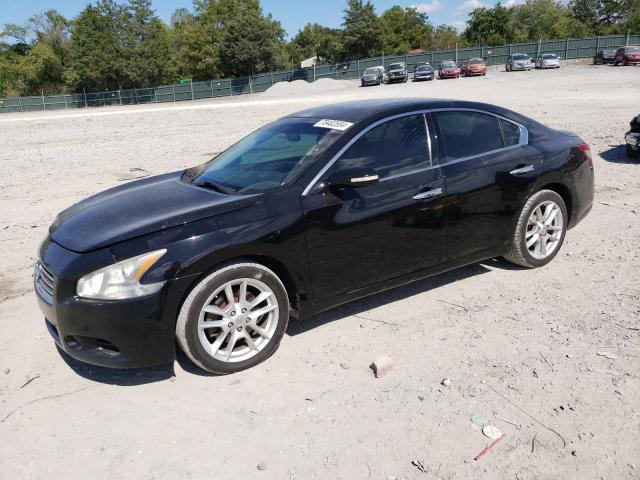 NISSAN MAXIMA S 2009 with VIN 1N4AA51E49C813917 - Photo from auction
