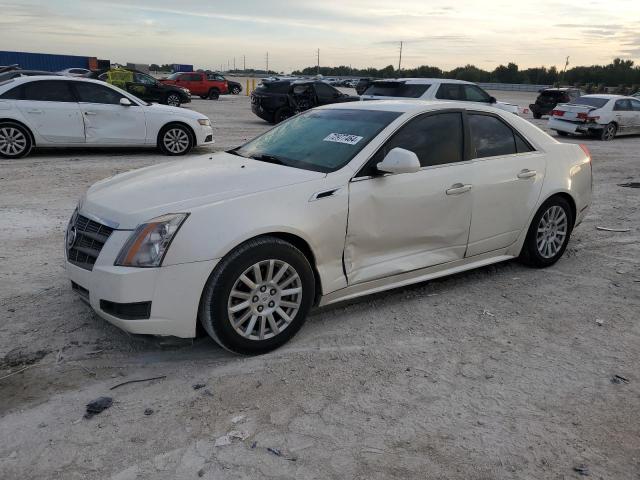 Photo 1 from auction – 2011 CADILLAC CTS LUXURY with VIN 1G6DE5EY9B0157966