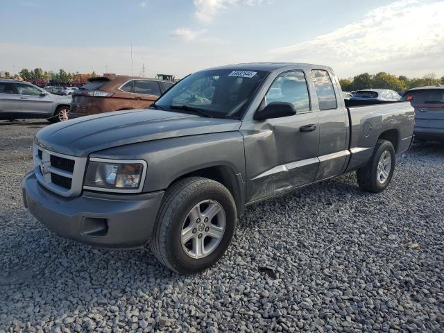 DODGE DAKOTA SXT 2010 with VIN 1D7CW3BK2AS101158 - Photo from auction