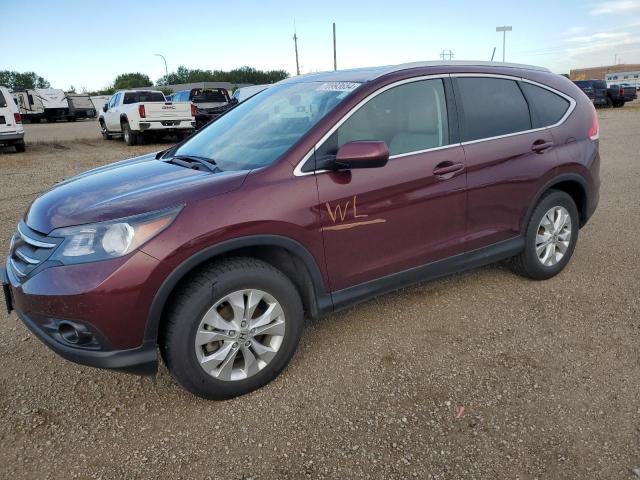 HONDA CR-V EXL 2014 with VIN 5J6RM4H74EL055877 - Photo from auction
